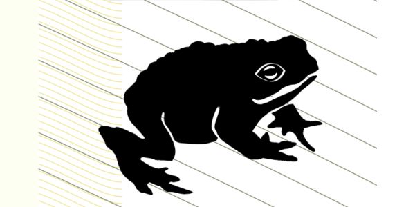 Illustration Kröte vor weißem Hintergrund