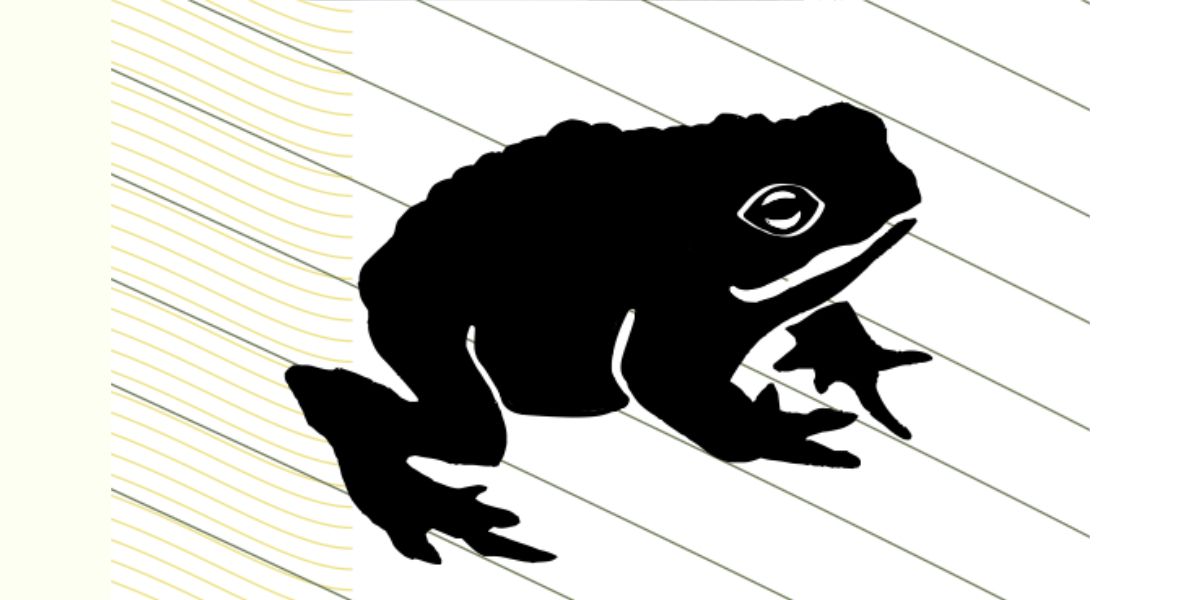 Illustration Kröte vor weißem Hintergrund